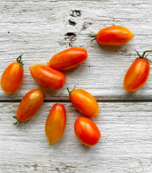 BIO Rajče Blush - Solanum lycopersicum - bio semena rajčete - 6 ks