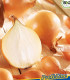 BIO Cibule sazečka Sturon - Allium cepa - bio cibulky - 125 ks