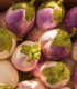 BIO Lilek Rosa Bianca - Solanum melongena - bio semena lilku - 8 ks