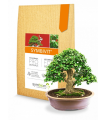 Symbivit Bonsai - mykorhiza pro bonsaje - 150 g