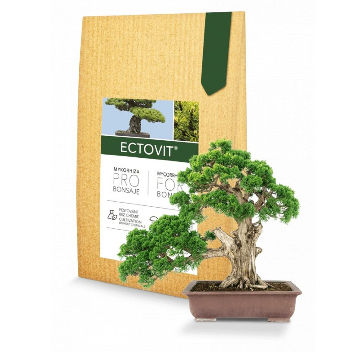 Ectovit Bonsai - mykorhiza pro bonsaje - 100 g