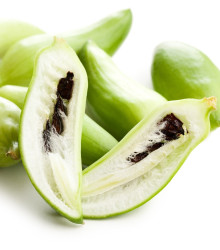 Ačokča - Cyclanthera pedata - semena ačokči - 6 ks