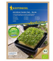 Mikrozelenina - microgreen - náhradní pláty bio rukoly - 3 ks