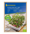 Mikrozelenina - microgreen - náhradní pláty bio ředkvičky - 3 ks