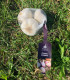 Sadbový česnek Lukan - Allium sativum - nepaličák - cibule česneku - 1 balení