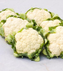 BIO Květák Amabile KS - Brassica oleracea - bio semena květáku - 20 ks