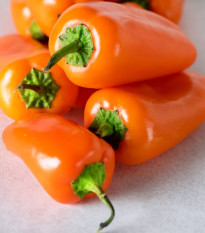 Paprika Snacking Orange - Capsicum annuum - semena papriky - 5 ks