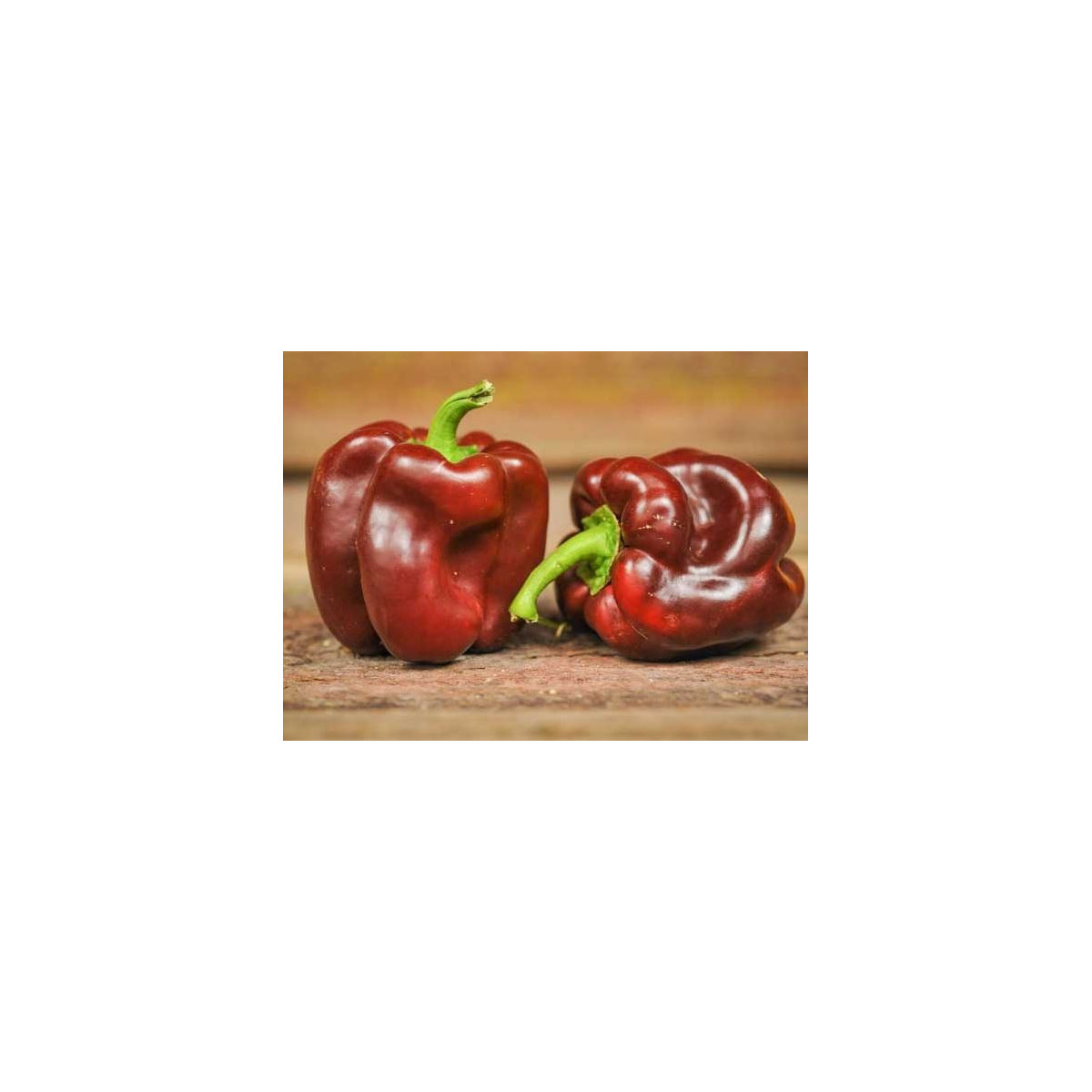 Paprika hnědá - Hnědá Kráska - Capsicum annuum - semena - 9 ks