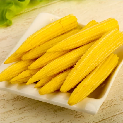Kukuřice Minipop F1- Zea mays - semena - 15 ks 