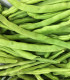 BIO Fazole keříčková Maxi - Phaseolus vulgaris - bio semena fazole - 20 ks