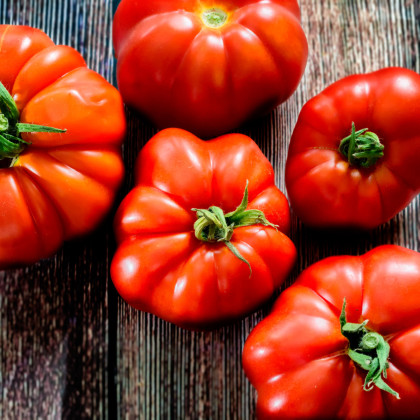 BIO Rajče Marmande - Solanum lycopersicum - bio semena rajčete - 15 ks