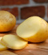BIO Sadbové brambory Belana - Solanum tuberosum - bio brambory - 10 ks