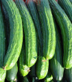 BIO Okurka salátová polní - Cucumis sativus - semena okurky - 0,3 g