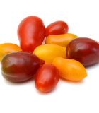 Zakrslá rajčata